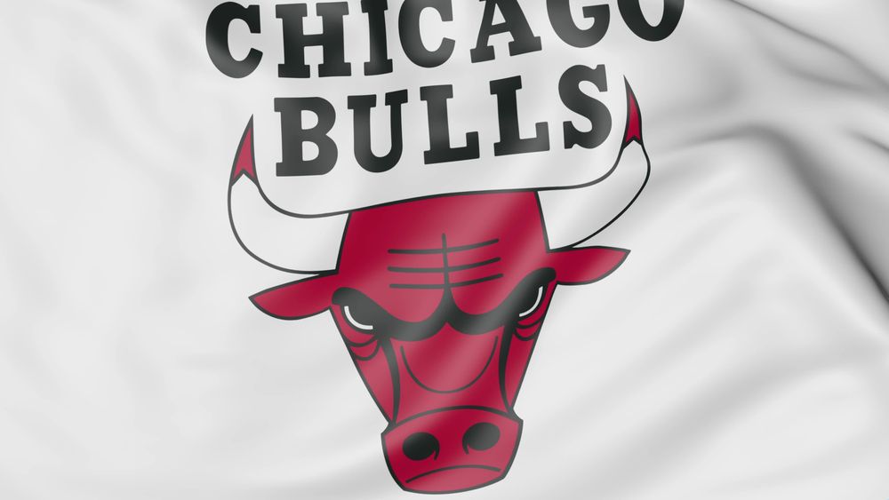 Chicago bulls