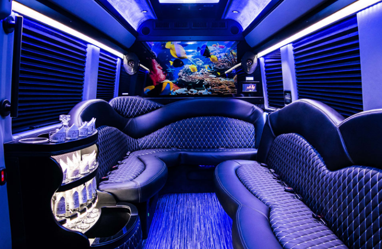 sprinter party bus interior (1)